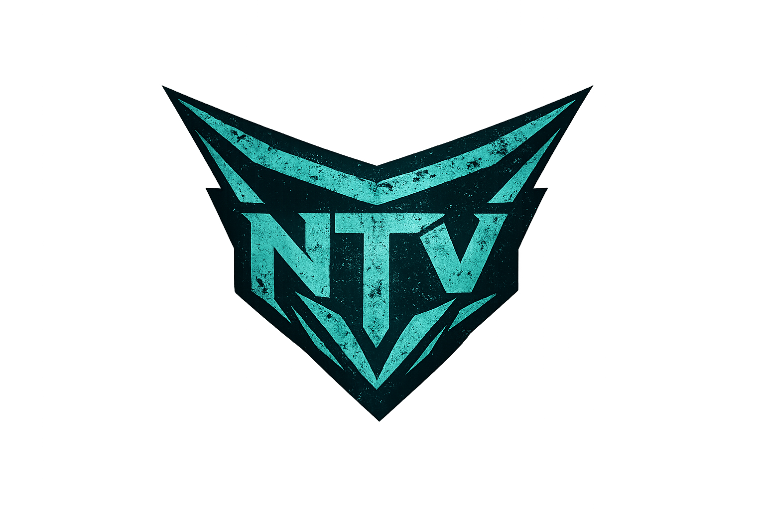 NorgaTV